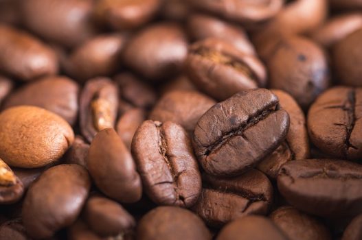 アラビカ種以外のコーヒー栽培は禁止