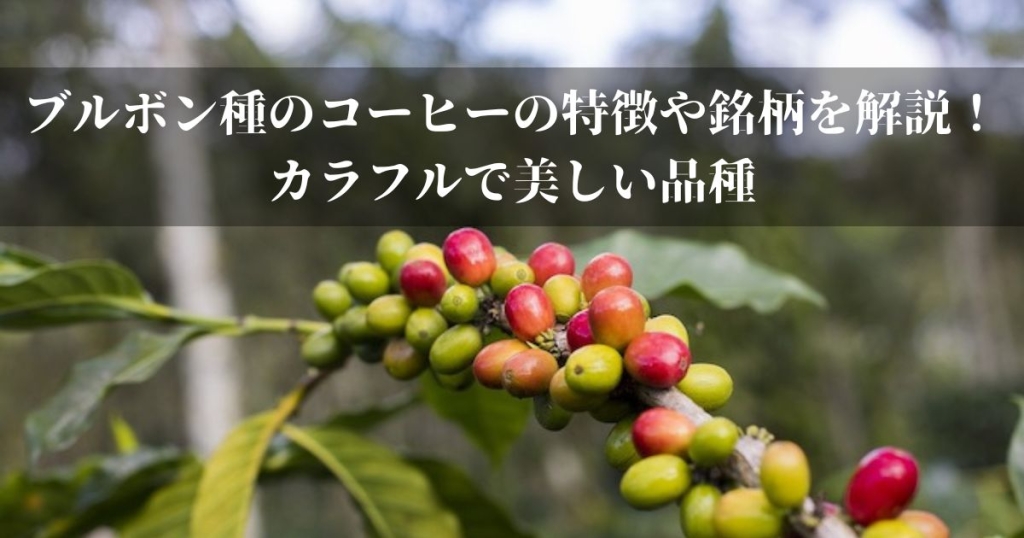 ブルボン種のコーヒーの特徴や銘柄を解説！カラフルで美しい品種